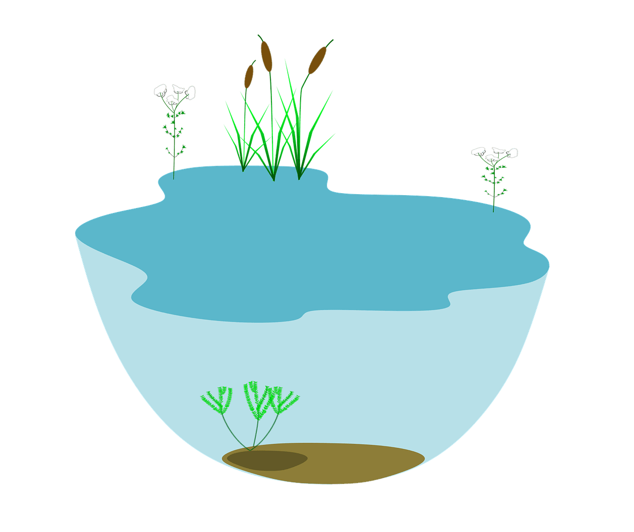 découvrez l'écosystème, un réseau complexe d'interactions entre les organismes vivants et leur environnement, qui joue un rôle crucial dans la préservation de la biodiversité et l'équilibre naturel.