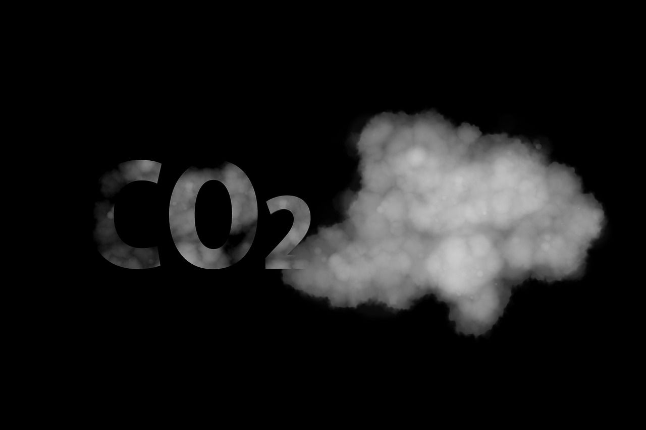 découvrez les enjeux et impacts des changements environnementaux sur notre planète, et les solutions pour un avenir durable.