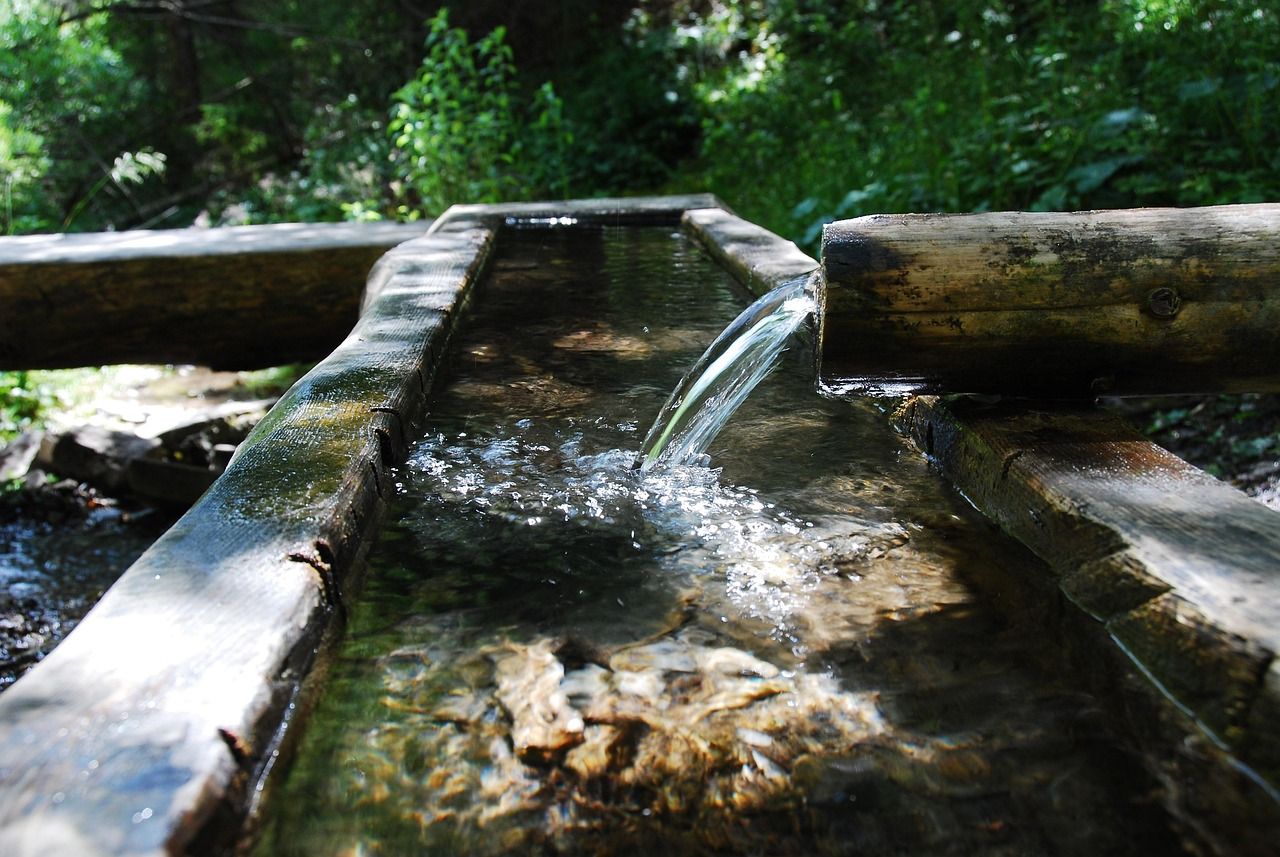 découvrez des stratégies efficaces pour la gestion durable de l'eau, incluant la conservation, le traitement et l'optimisation des ressources hydriques.