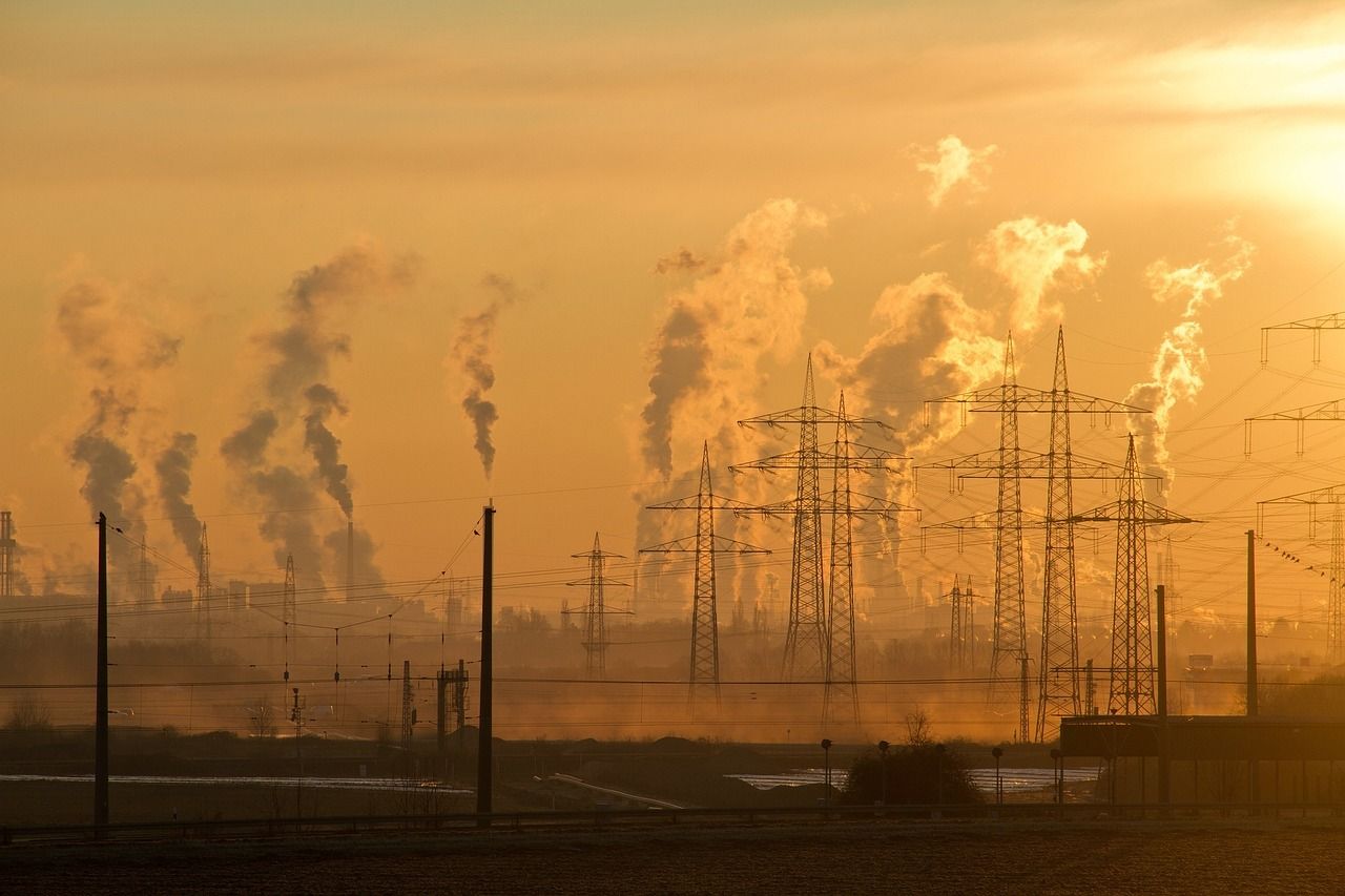 découvrez comment l'éducation environnementale communautaire permet de sensibiliser et d'impliquer les citoyens dans la préservation de l'environnement à travers des activités collectives et des initiatives locales.
