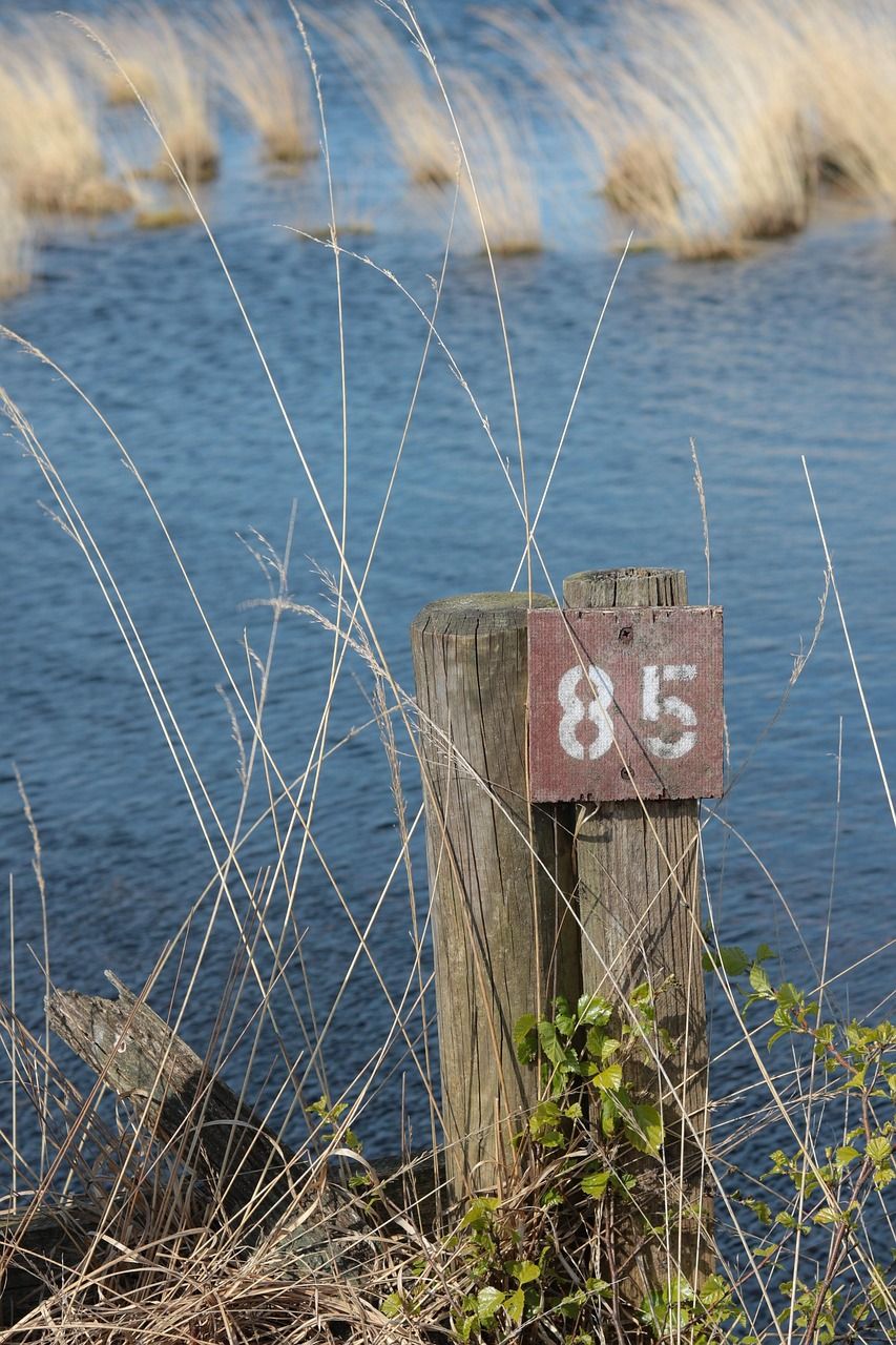 découvrez la renaturation : un processus de restauration des espaces naturels pour préserver la biodiversité et améliorer l'environnement.