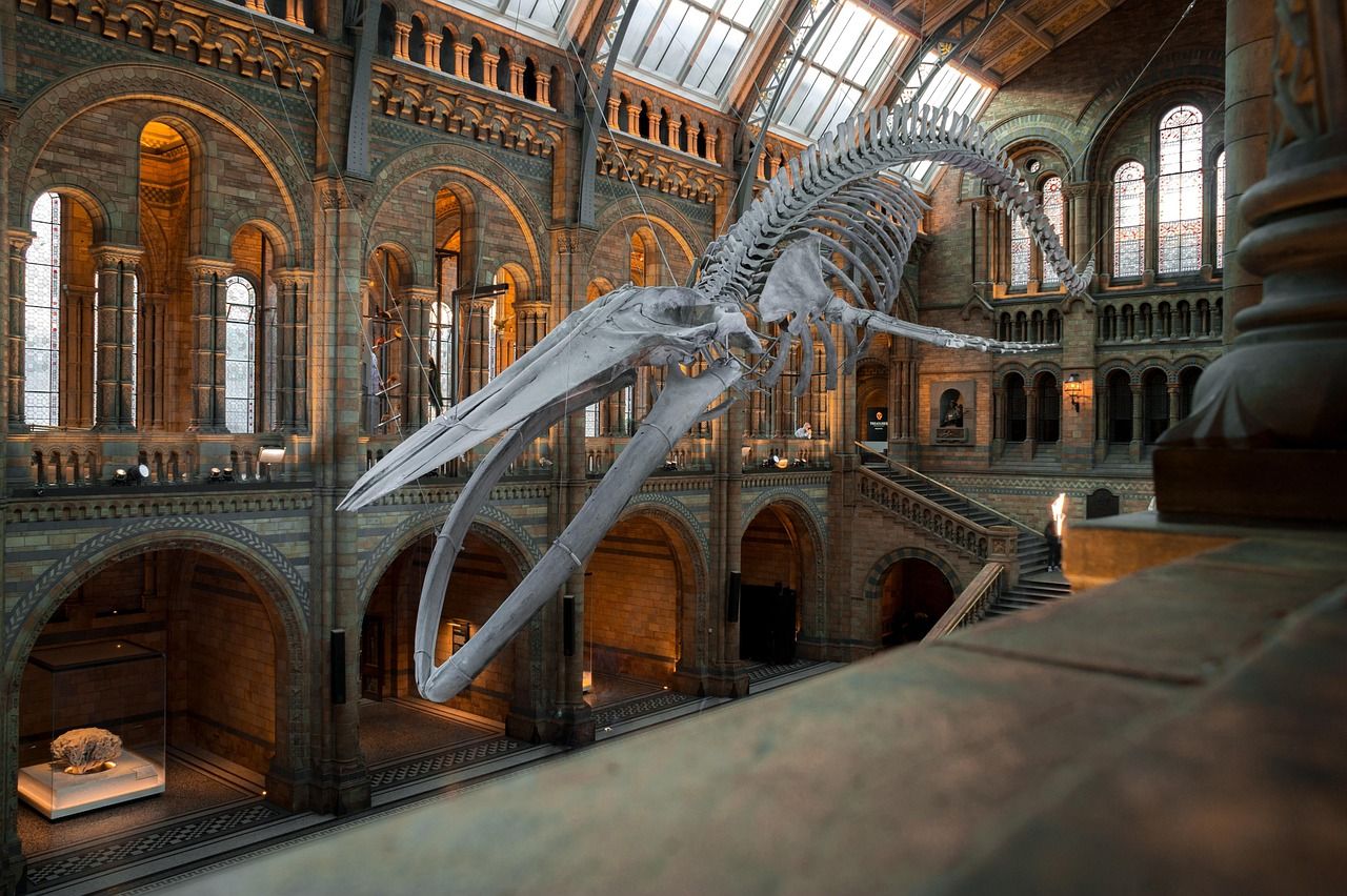 découvrez notre exposition virtuelle immersive qui vous permet d'explorer des œuvres d'art et des collections uniques depuis chez vous, à tout moment.