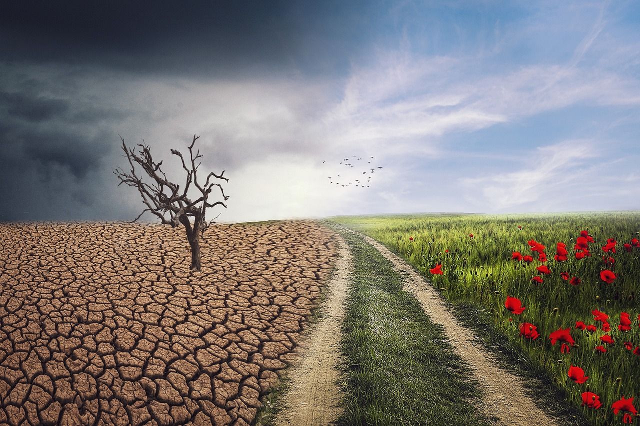découvrez les enjeux du changement climatique, ses impacts sur notre planète, et les actions que nous pouvons entreprendre pour préserver notre environnement et assurer un avenir durable.