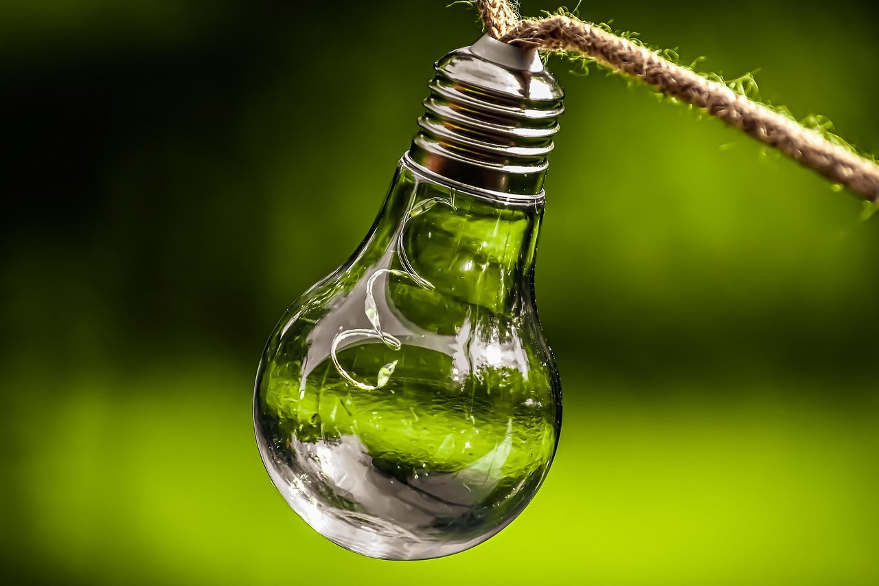 découvrez les enjeux de la durabilité et son impact sur notre planète. explorez des solutions innovantes pour un avenir écologique et responsable, tout en apprenant comment chacun peut contribuer à préserver notre environnement.