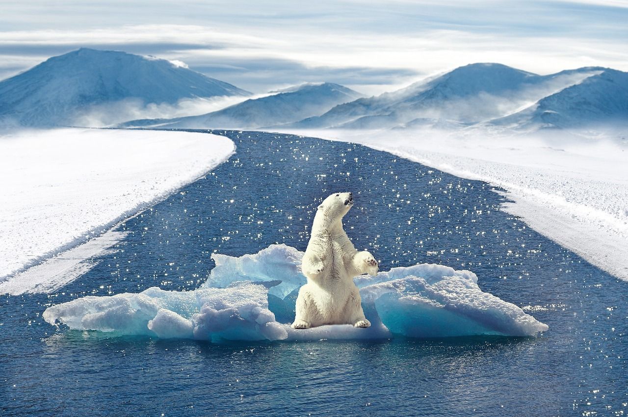 découvrez tout ce qu'il faut savoir sur le climat : définitions, causes, impacts et solutions pour mieux comprendre les enjeux environnementaux d'aujourd'hui et de demain.