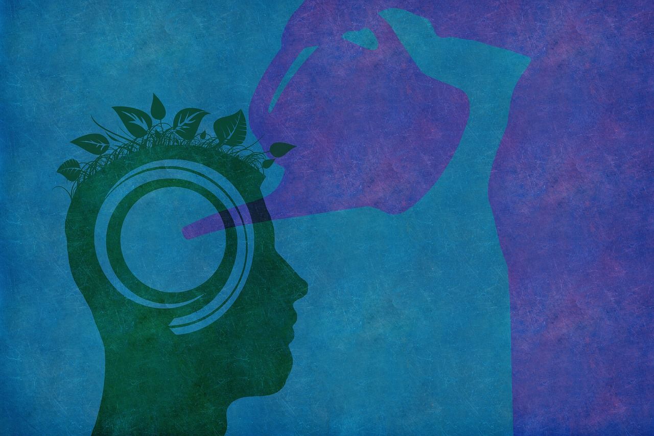 découvrez les principes et les pratiques du développement durable, qui visent à préserver notre planète pour les générations futures tout en répondant aux besoins économiques, sociaux et environnementaux d'aujourd'hui.