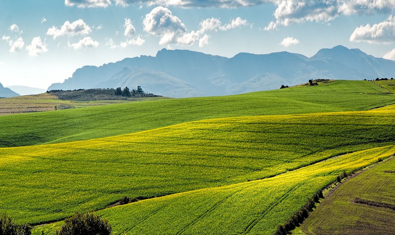 découvrez l'agriculture urbaine, une solution innovante et durable pour cultiver des aliments frais au cœur des villes. apprenez comment ce mouvement transforme les espaces urbains en jardins productifs, favorise la biodiversité et réduit l'empreinte carbone. explorez les techniques, les avantages et les initiatives qui font de l'agriculture urbaine un avenir prometteur pour nos métropoles.