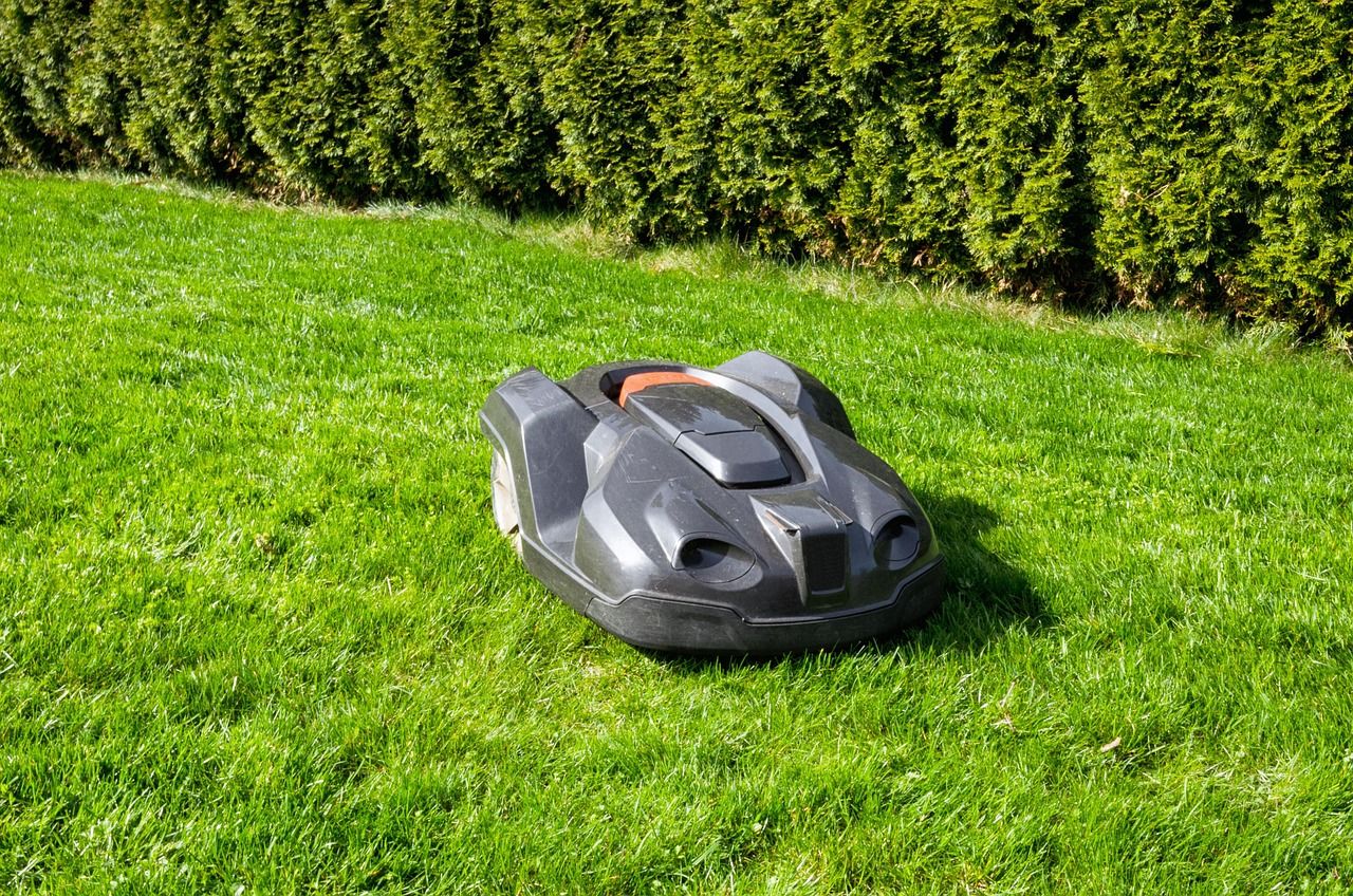entretien de pelouse urbaine : services professionnels pour des espaces verts soignés en milieu urbain, incluant tonte, taille et traitement adaptés à la ville.