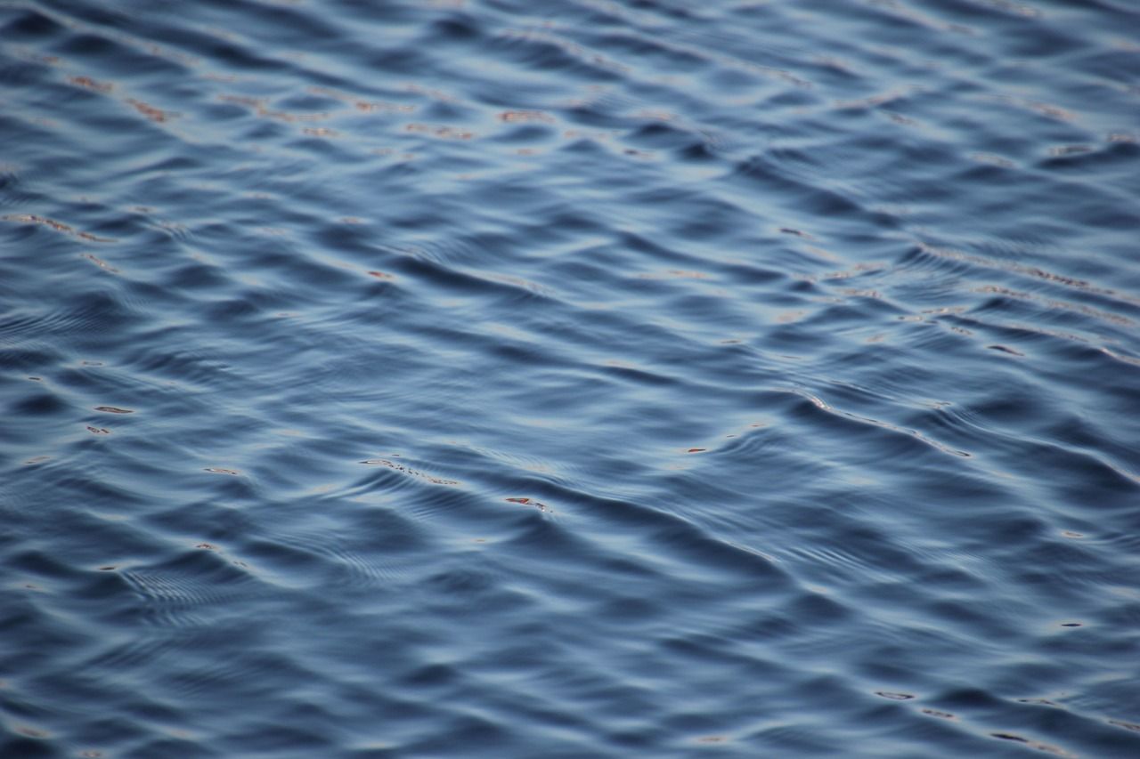 découvrez l'importance de l'eau dans notre quotidien, ses bienfaits pour la santé, et les enjeux environnementaux qui l'entourent. apprenez à préserver cette précieuse ressource et à l'intégrer de manière optimale dans votre vie.