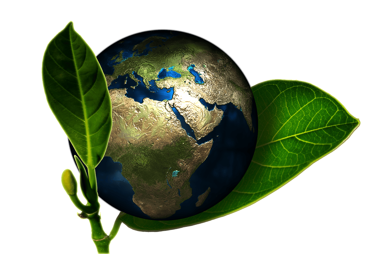 découvrez l'importance de la gouvernance environnementale, un domaine crucial qui vise à promouvoir des pratiques durables et à protéger notre planète pour les générations futures. analyse des politiques, des acteurs clés et des enjeux liés à la gestion des ressources naturelles.