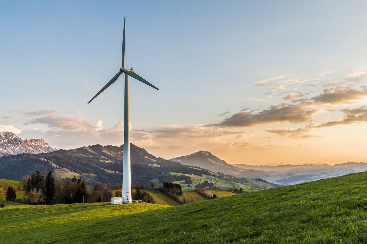 découvrez les enjeux et solutions de la transition écologique pour un avenir durable, alliant innovation, responsabilité environnementale et engagement citoyen.