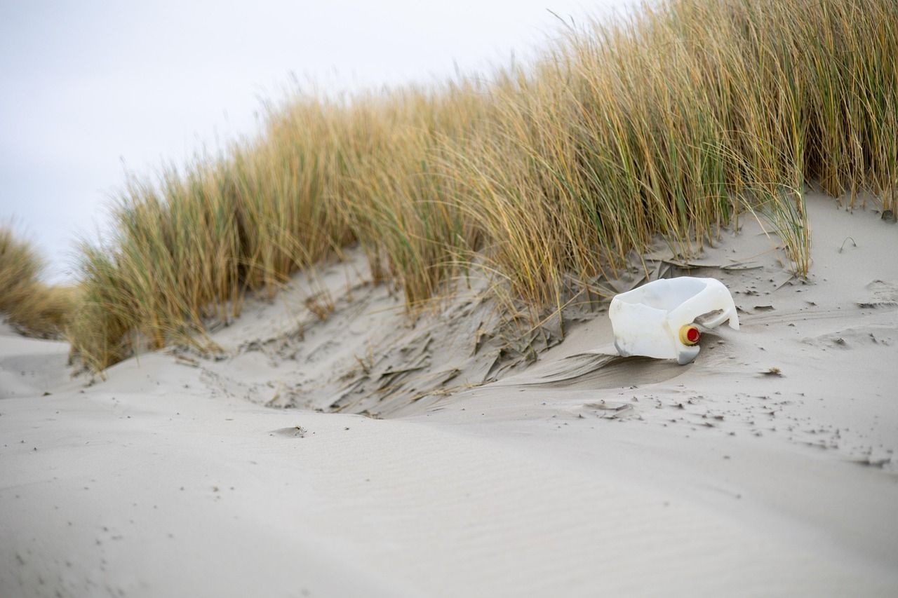 découvrez les différentes formes de pollution qui affectent notre environnement, les causes sous-jacentes et les solutions possibles pour réduire notre empreinte écologique. informez-vous sur l'impact de la pollution sur la santé humaine et la biodiversité, et engagez-vous en faveur d'un avenir plus sain.
