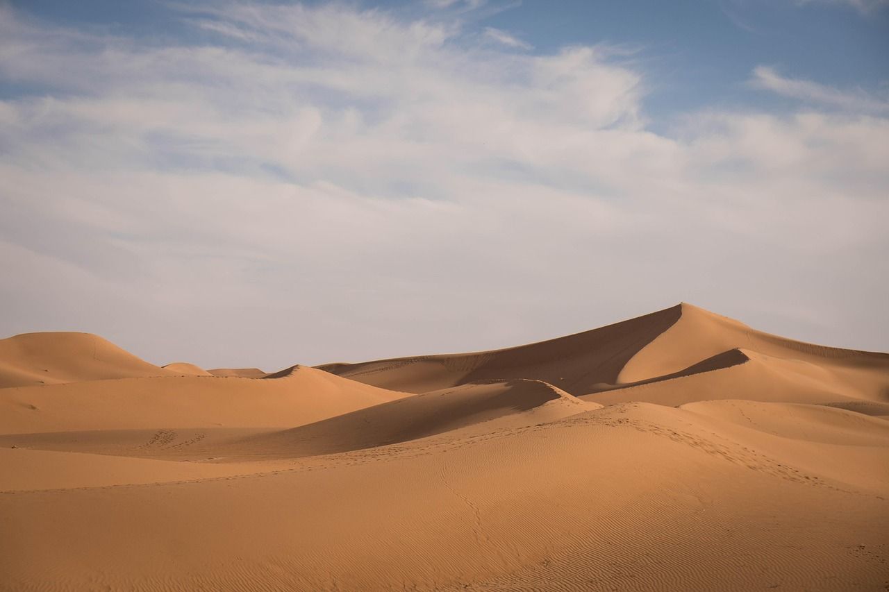 découvrez les causes, les impacts et les solutions face à la sécheresse, un phénomène climatique aux conséquences majeures pour l'environnement et l'agriculture.