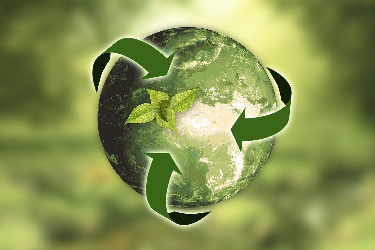 découvrez l'importance de la durabilité pour notre planète. explorez des pratiques écoresponsables, des initiatives vertes et des solutions innovantes pour un avenir plus durable.