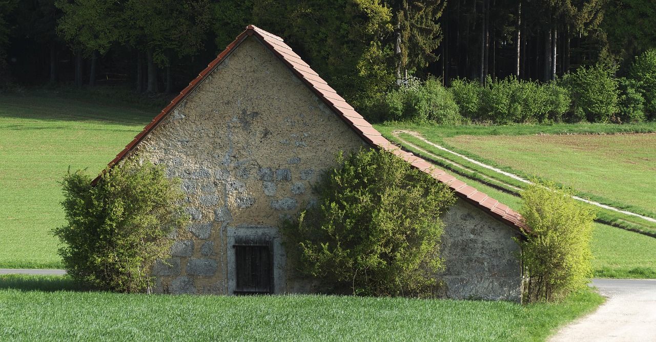 tout savoir sur les haies agricoles : types, avantages et conseils d'entretien pour améliorer la biodiversité et protéger vos cultures.