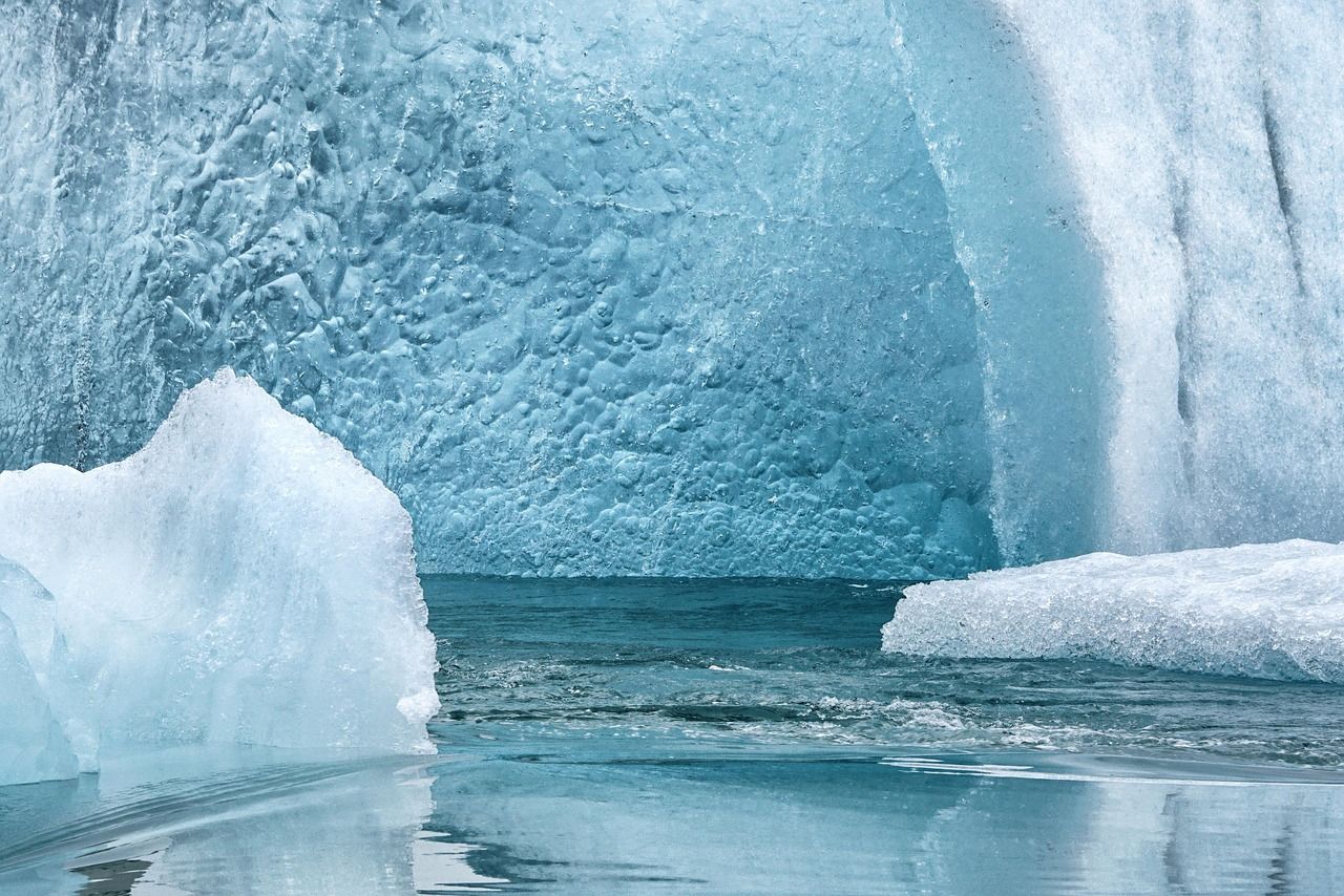 découvrez les résultats d'une enquête mondiale sur l'impact des régimes alimentaires sur le climat et comment adapter vos choix pour un avenir durable.