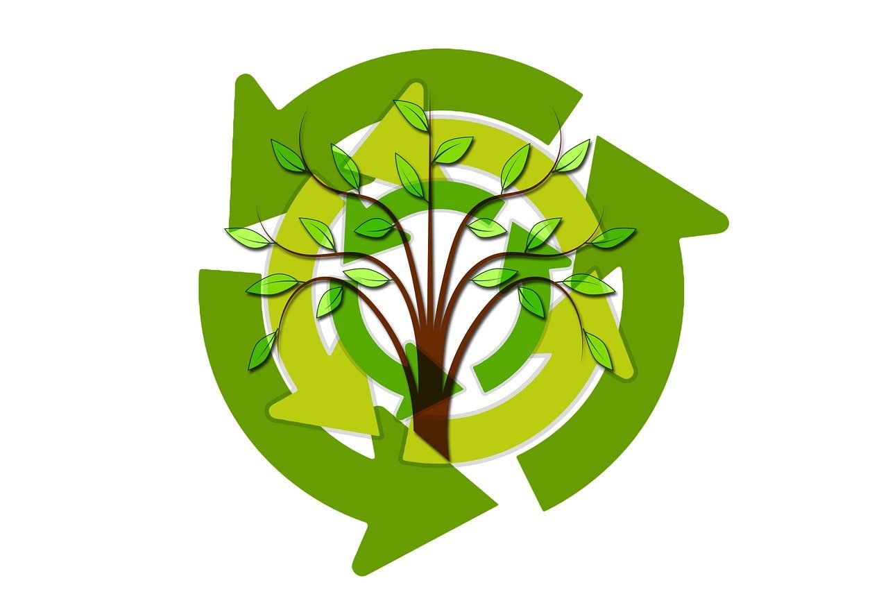 découvrez l'importance de la durabilité dans notre société moderne, les pratiques écologiques à adopter et comment chaque individu peut contribuer à un avenir plus vert et responsable.