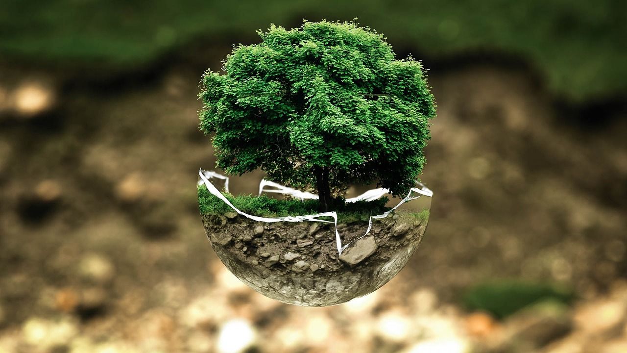 service environnemental jeunesse : engagez les jeunes dans des actions pour protéger la planète et sensibiliser à l'écologie.