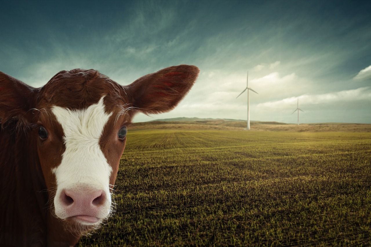 découvrez notre plan de transition climatique pour un avenir durable, intégrant des stratégies efficaces pour réduire l'empreinte carbone et promouvoir les énergies renouvelables.