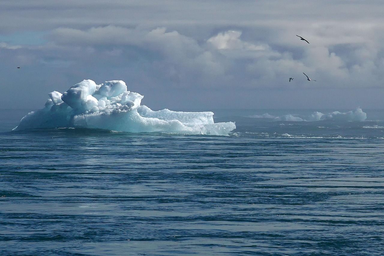 découvrez l'importance de l'éducation au climat pour sensibiliser et responsabiliser les individus face aux défis environnementaux mondiaux.
