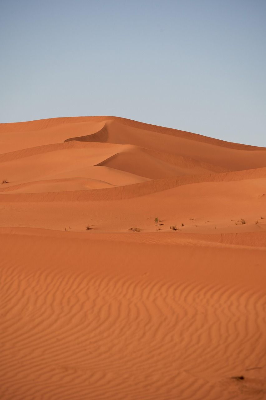 découvrez les causes, les conséquences et les solutions face à la sécheresse, un phénomène climatique impactant l'environnement et l'agriculture.