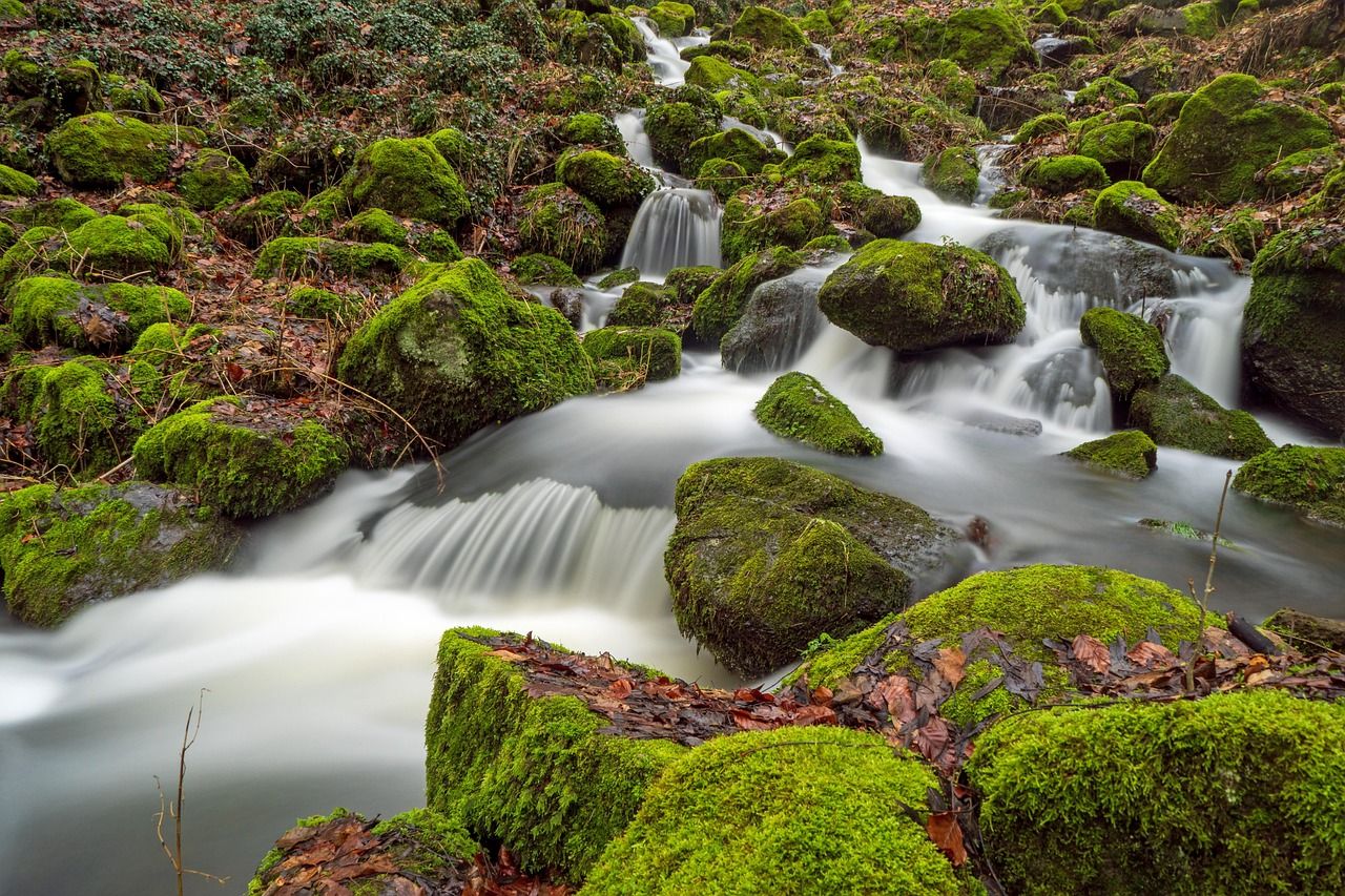 découvrez l'importance de l'eau pour notre santé et notre environnement, ainsi que des conseils pratiques pour économiser cette ressource précieuse au quotidien.
