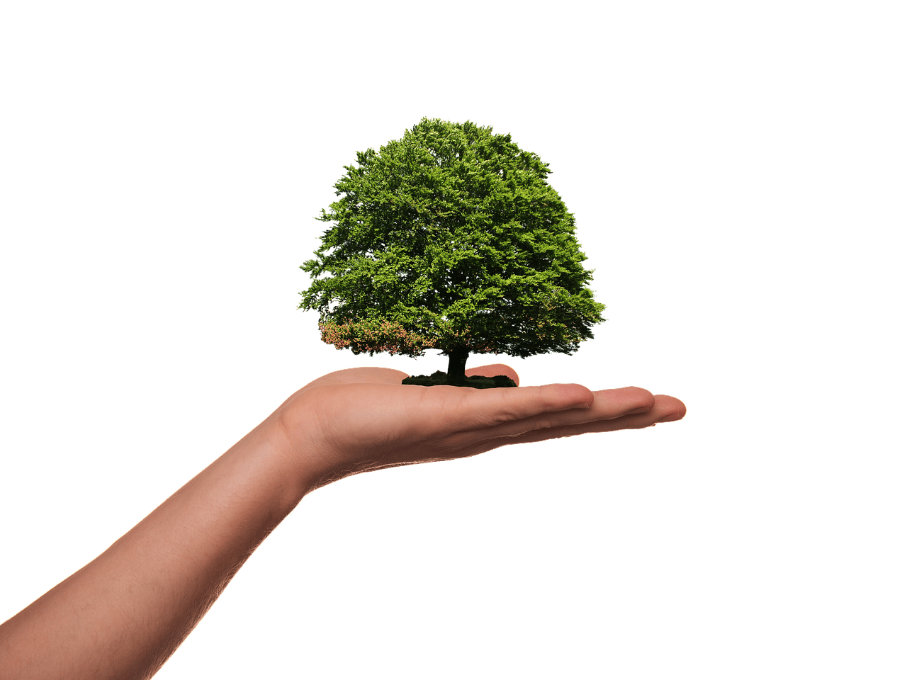 découvrez l'importance de la sensibilisation à l'environnement et comment elle contribue à la protection de notre planète. apprenez des stratégies pratiques pour promouvoir un mode de vie durable et impliquer votre communauté dans des actions écoresponsables.