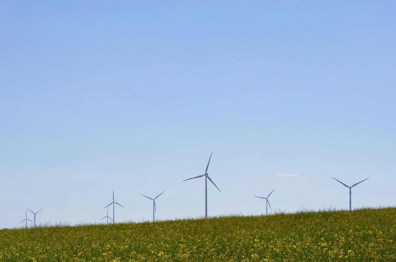découvrez les enjeux et solutions de la transition écologique pour un avenir durable, alliant innovation, protection de l'environnement et responsabilité sociale.