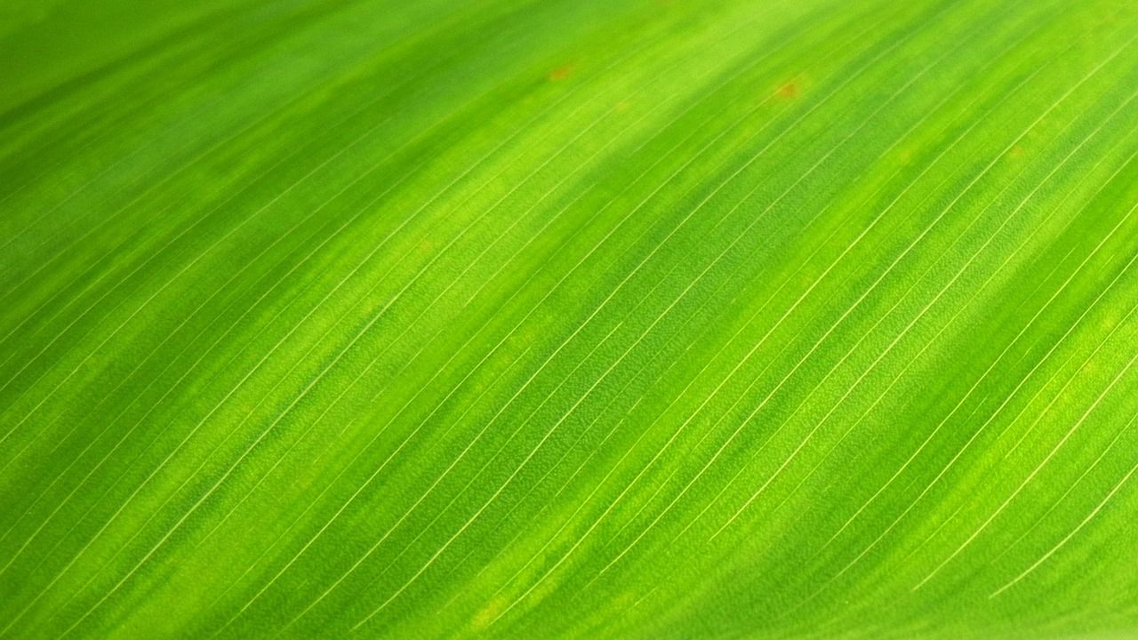 découvrez l'éco-anxiété : comprendre ce trouble lié à l'inquiétude environnementale croissante, ses causes, ses effets et comment y faire face au quotidien.
