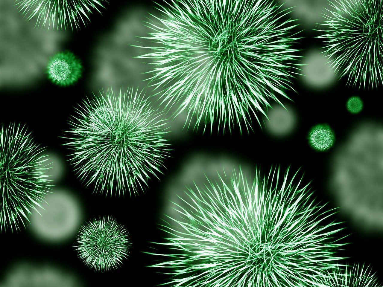 découvrez le monde fascinant des virus, ces agents biologiques invisibles qui infectent les organismes vivants. apprenez comment ils se propagent, leurs impacts sur la santé humaine et animale, et les dernières avancées scientifiques pour les combattre.