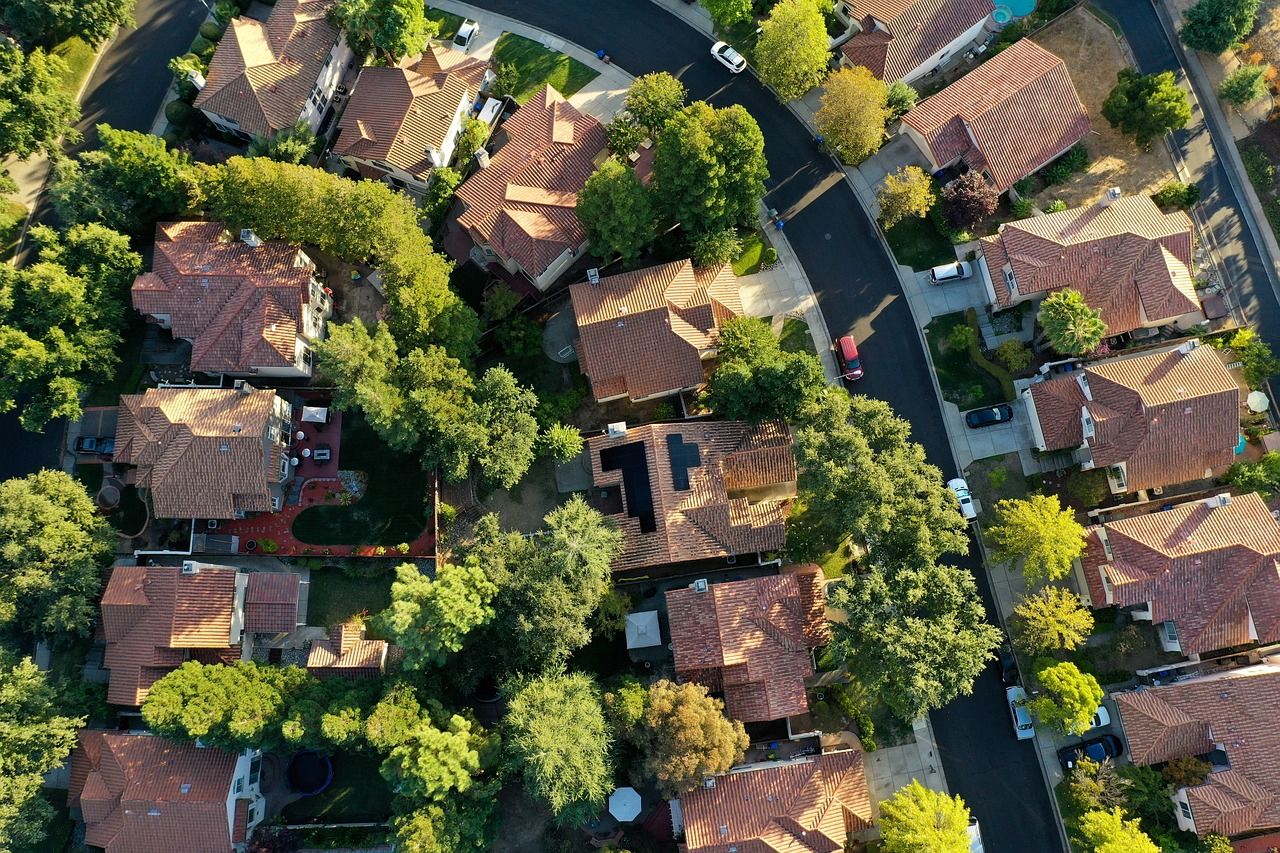 découvrez des solutions durables pour un avenir plus vert. explorez nos initiatives et conseils écologiques pour réduire votre impact environnemental tout en améliorant votre qualité de vie.
