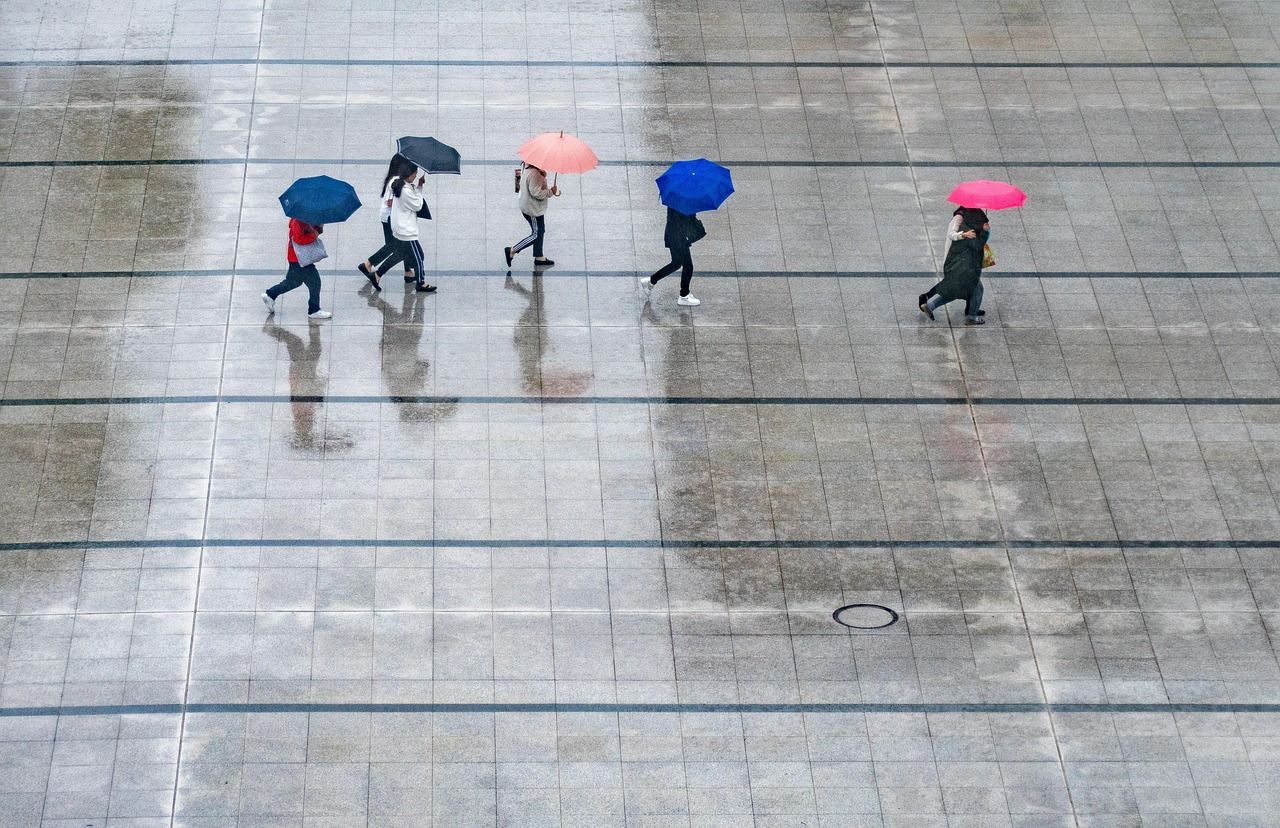 consultez le bulletin météo précis et à jour pour planifier votre journée en toute sérénité.