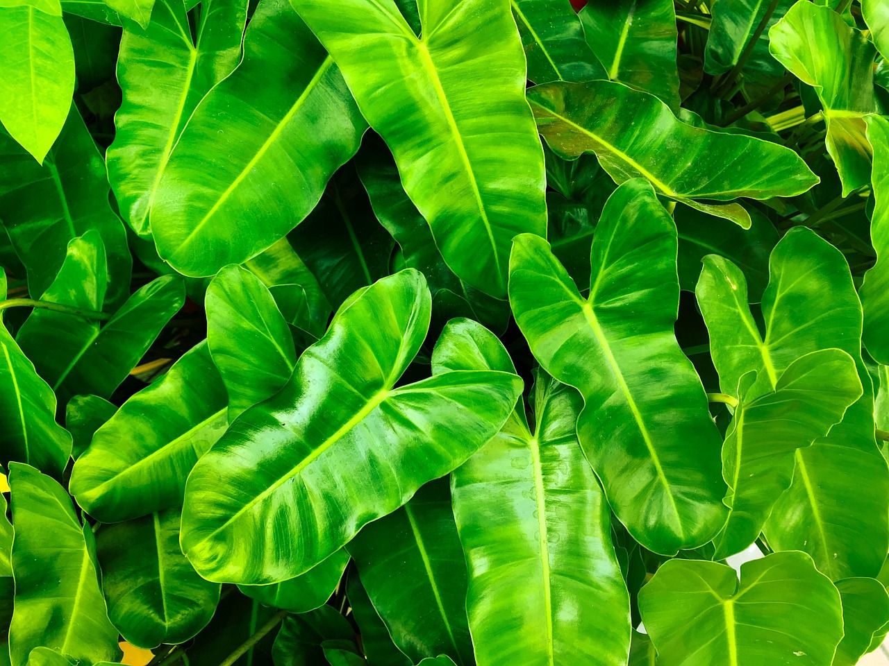 découvrez le rôle essentiel des ong environnementales dans la protection de la planète. engagez-vous avec des organisations qui œuvrent pour la conservation de la biodiversité, la lutte contre le changement climatique et la promotion de pratiques durables.