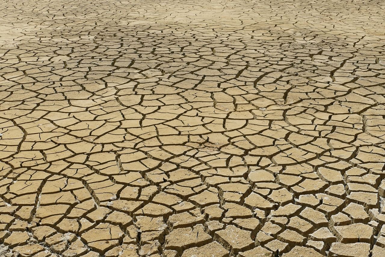 découvrez notre guide complet sur le changement climatique, ses causes, ses impacts et les solutions pour agir efficacement face à cette urgence environnementale.