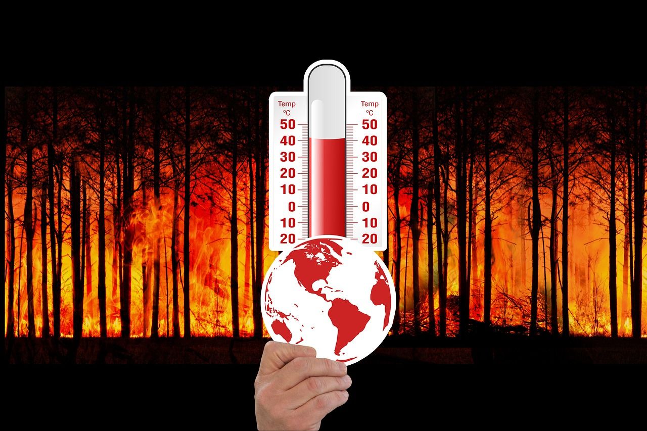 découvrez les causes, impacts et solutions liés au changement climatique. informez-vous sur ses conséquences pour la planète et les actions à entreprendre pour lutter efficacement contre ce phénomène mondial.