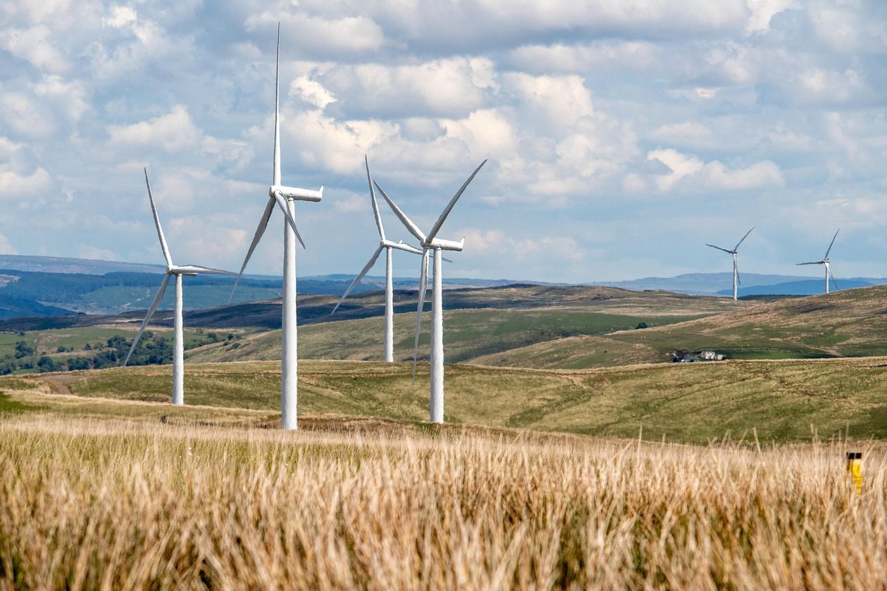 découvrez comment les entreprises durables allient performance économique et respect de l'environnement. explorez des modèles innovants qui favorisent une croissance responsable tout en répondant aux enjeux sociétaux actuels.