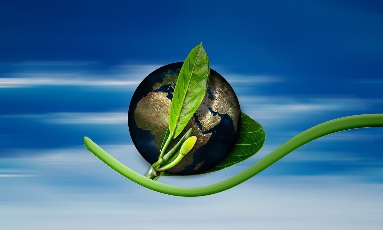 découvrez les enjeux climatiques actuels, les impacts du changement climatique sur notre planète et les solutions pour un avenir durable. engagez-vous pour protéger l'environnement et comprendre les actions nécessaires pour lutter contre le réchauffement climatique.