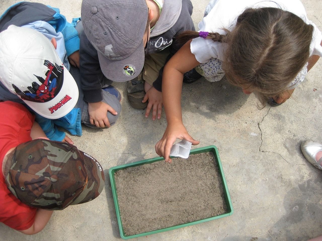 découvrez l'éducation à l'environnement : ses principes, ses méthodes d'apprentissage et son importance pour sensibiliser et former les individus à la préservation de la nature et au développement durable.