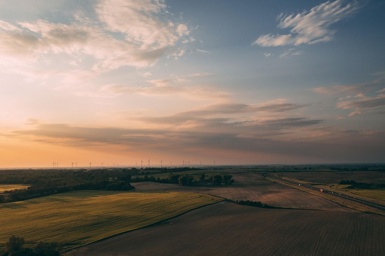 découvrez comment adopter des pratiques durables pour préserver l'environnement, améliorer la qualité de vie et assurer un avenir responsable grâce à la durabilité.