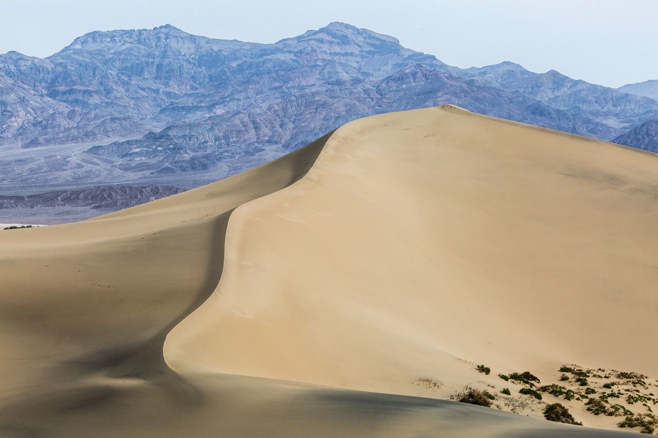 découvrez comment chaque action compte face au changement climatique : explorez votre climate journey pour comprendre, agir et transformer votre impact environnemental dès aujourd'hui.