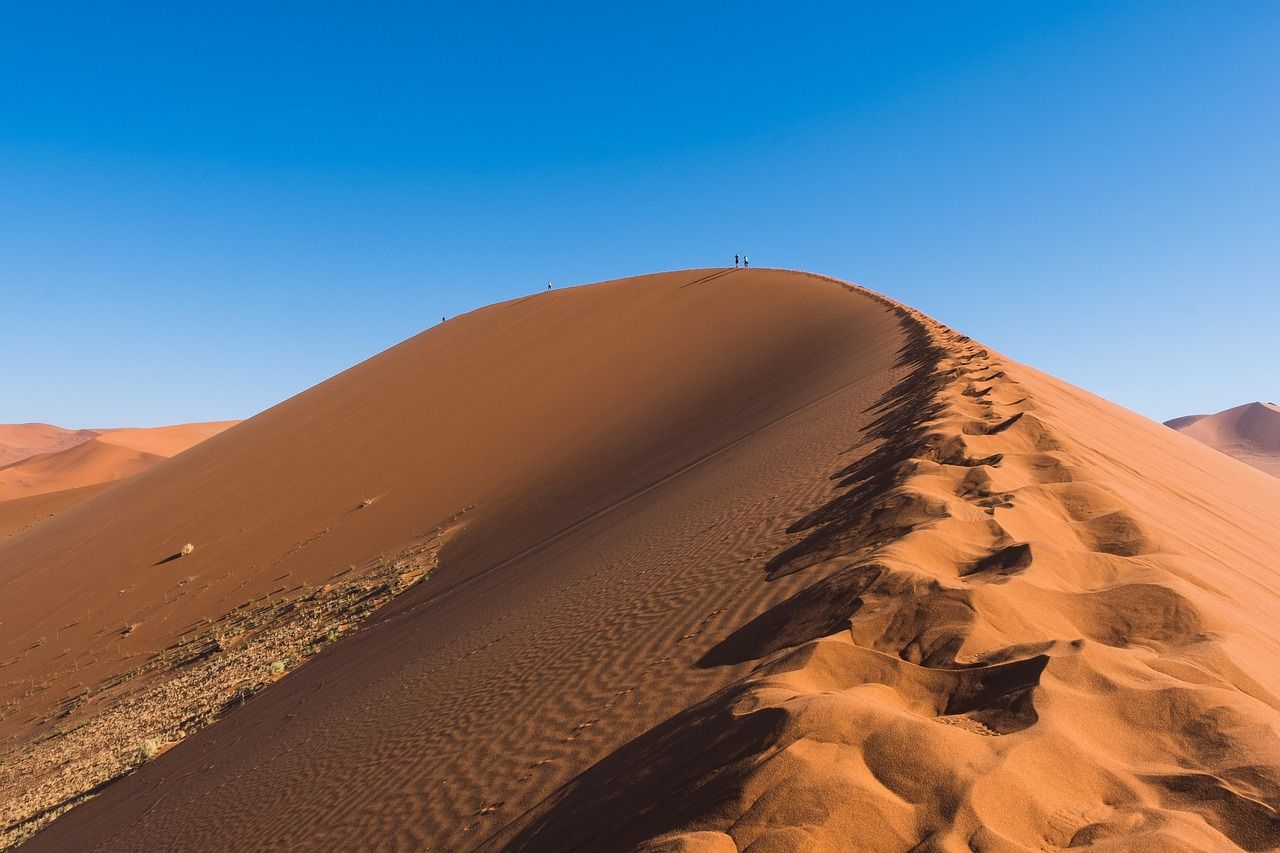 découvrez les stratégies et solutions innovantes pour l'adaptation au changement climatique, afin de protéger les communautés et les écosystèmes face aux impacts environnementaux.