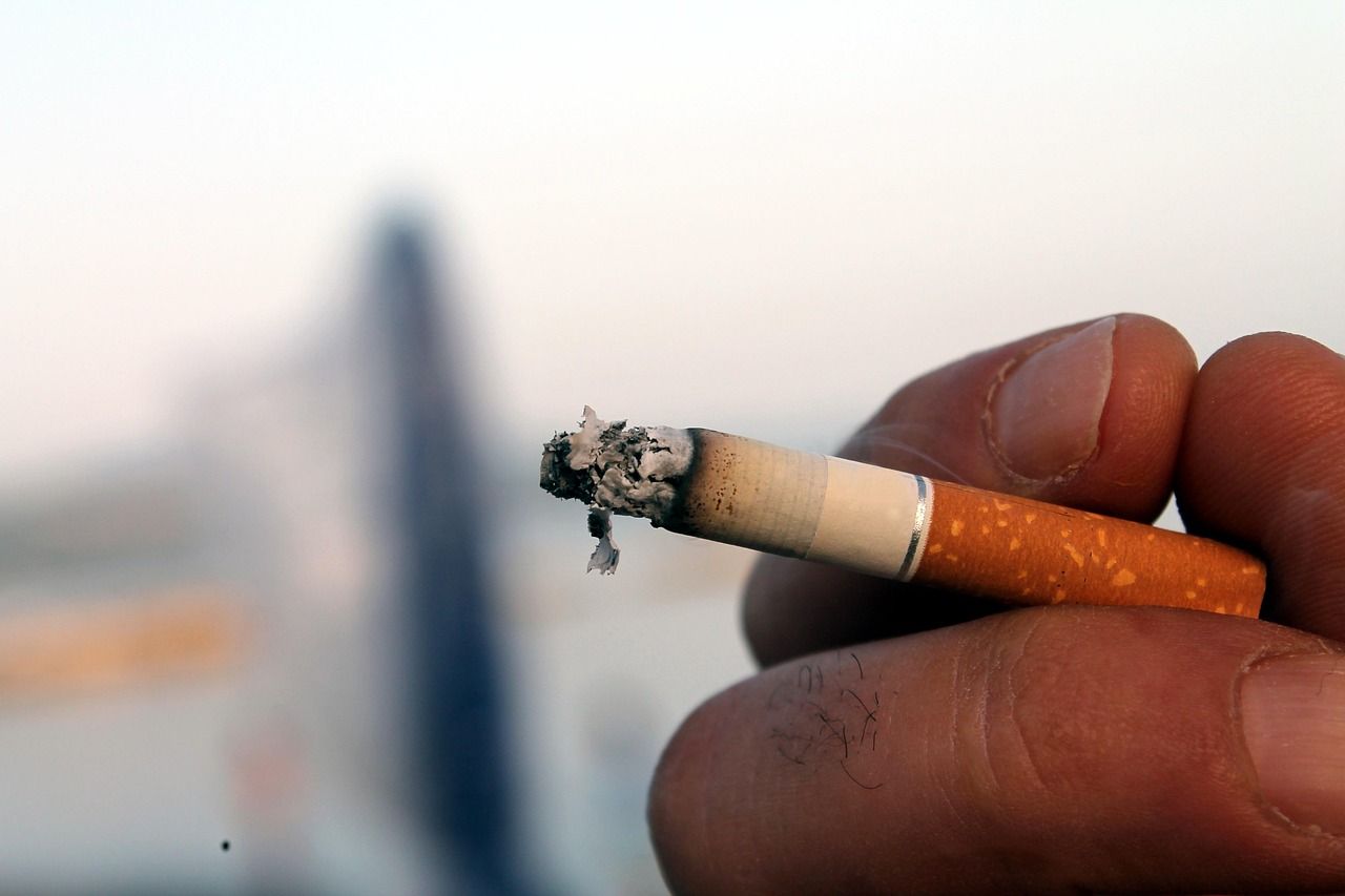 one health est une approche intégrée qui reconnaît l'interconnexion entre la santé humaine, animale et environnementale pour prévenir les maladies et promouvoir un bien-être global.