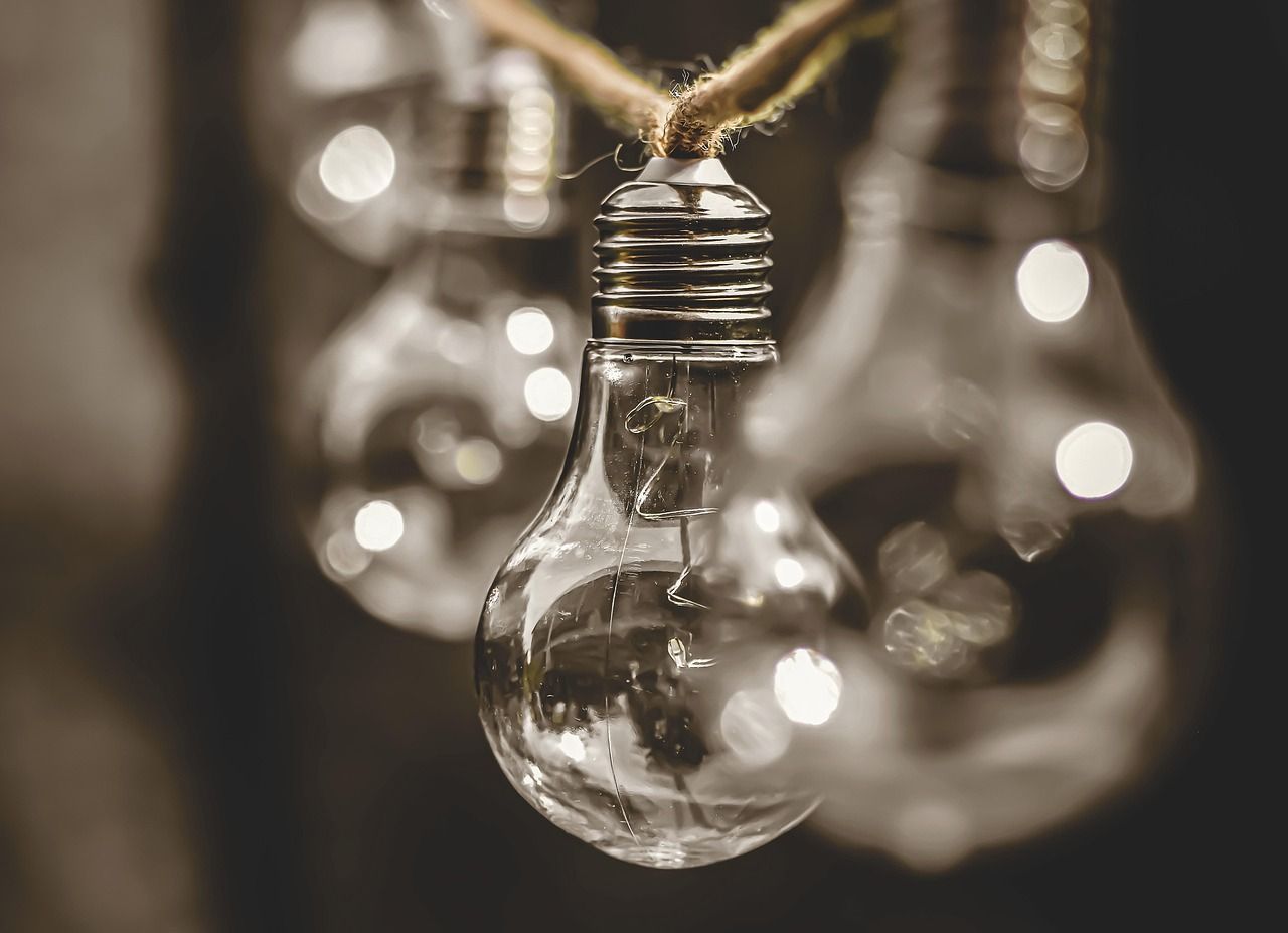 découvrez l'éducation environnementale, une approche essentielle pour sensibiliser aux enjeux écologiques et promouvoir des comportements durables. apprenez à protéger notre planète grâce à des programmes éducatifs interactifs et engageants.