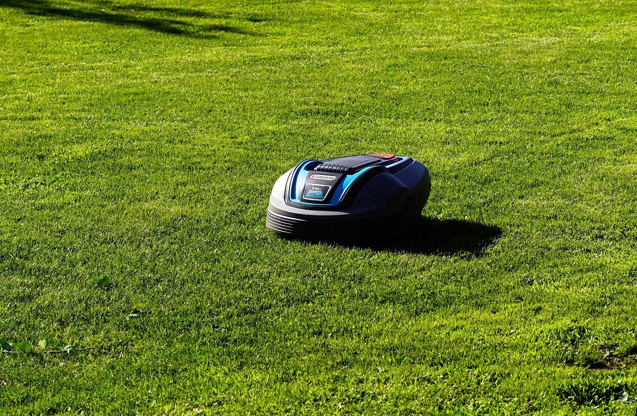entretien de pelouses urbaines : services professionnels pour un gazon impeccable en milieu citadin. taille, tonte, fertilisation et soins adaptés à votre espace vert urbain.