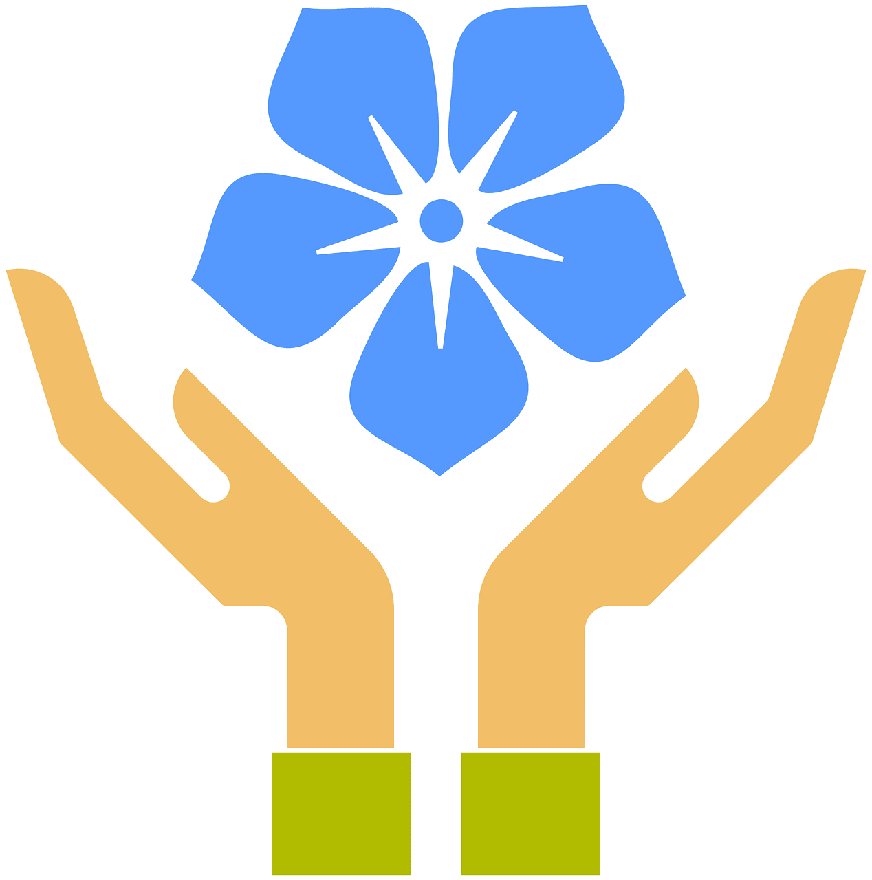 découvrez des conseils et des astuces pour adopter un mode de vie éco-responsable. apprenez à réduire votre empreinte écologique à travers des choix durables pour préserver notre planète.