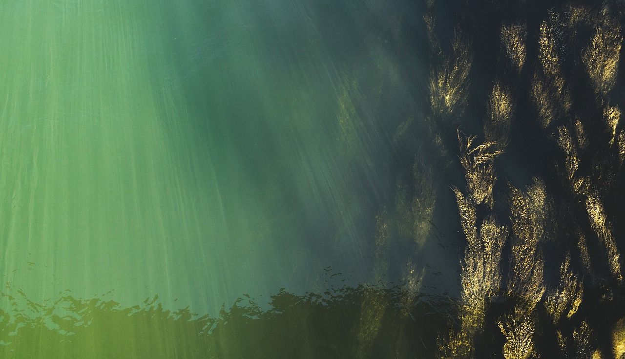 découvrez tout ce qu'il faut savoir sur l'eau : ses propriétés, son importance pour la vie, ses usages quotidiens et son rôle essentiel dans notre environnement.