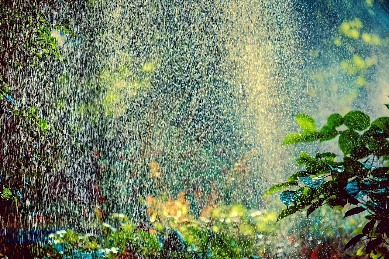 préparez-vous à la canicule : conseils pour rester au frais et en sécurité pendant les fortes chaleurs.