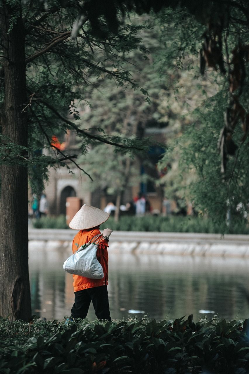 découvrez l'importance de l'environnement, ses défis et les solutions durables pour préserver notre planète. informez-vous sur la biodiversité, le changement climatique et les actions à mener pour un avenir écologique.