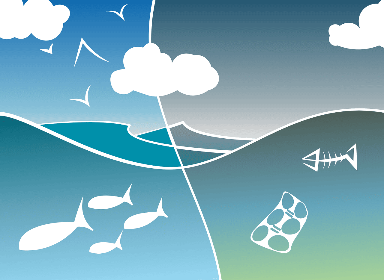 découvrez des actions écologiques concrètes pour protéger notre planète ! engagez-vous dans des initiatives durables, apprenez des gestes simples à adopter au quotidien et rejoignez un mouvement pour un avenir plus vert.