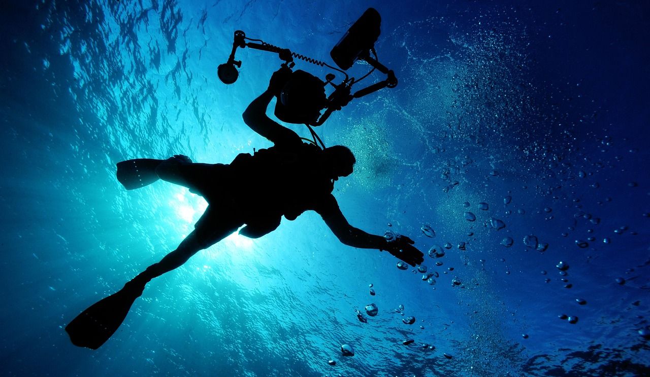 découvrez des aventures marines inoubliables : plongée, navigation et exploration des océans pour tous les passionnés de la mer.